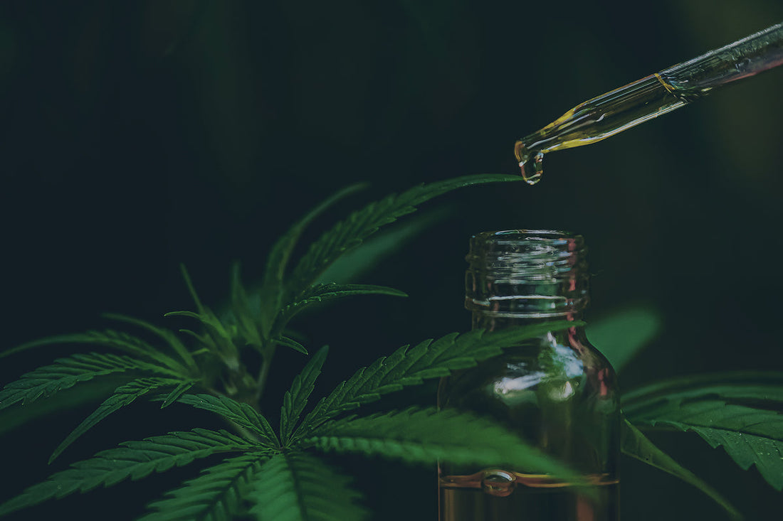 CBD, ¿qué es y para qué sirve?