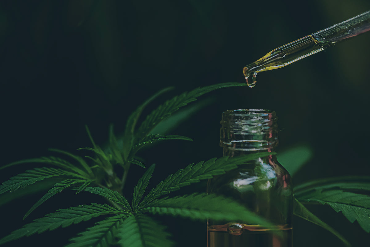 CBD, ¿qué es y para qué sirve?