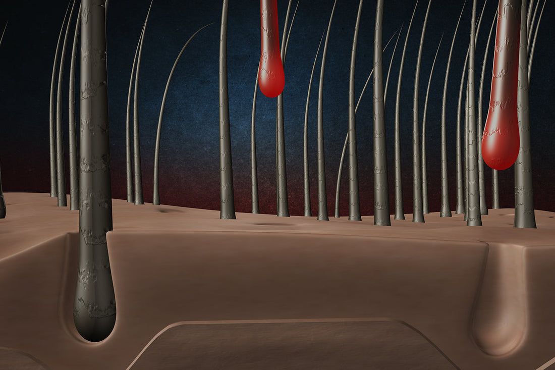 Alimentos para frenar la caída del cabello