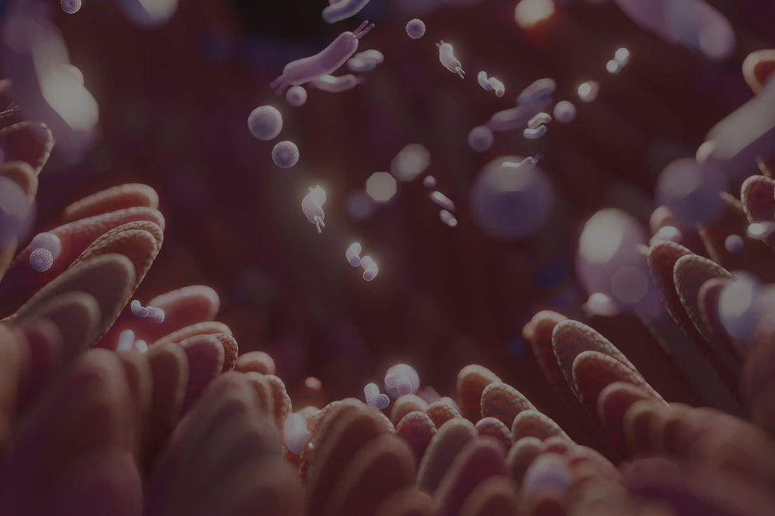 Antiinflamatorio intestinal natural: alivia la inflamación desde dentro