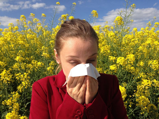 conoce cómo combatir la alergia