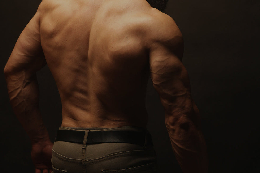 Cómo ganar masa muscular: la guía completa para transformar tu cuerpo