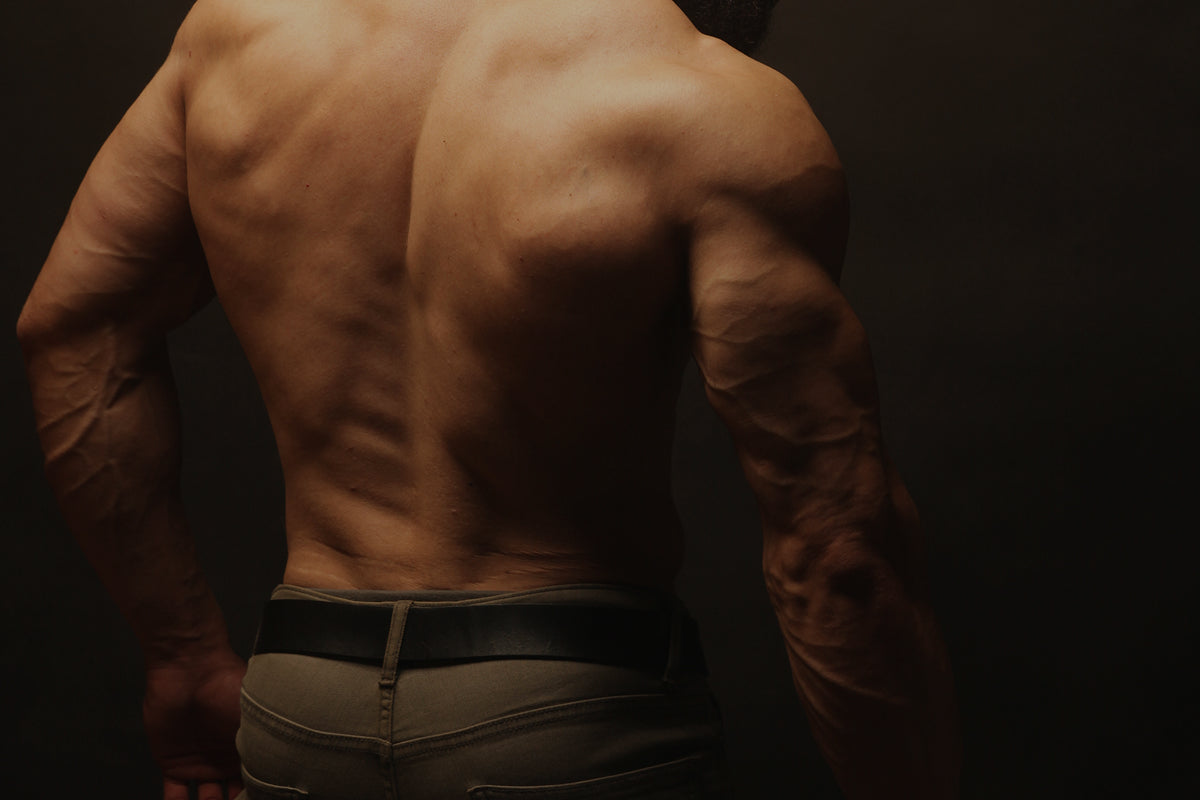 Cómo ganar masa muscular: la guía completa para transformar tu cuerpo