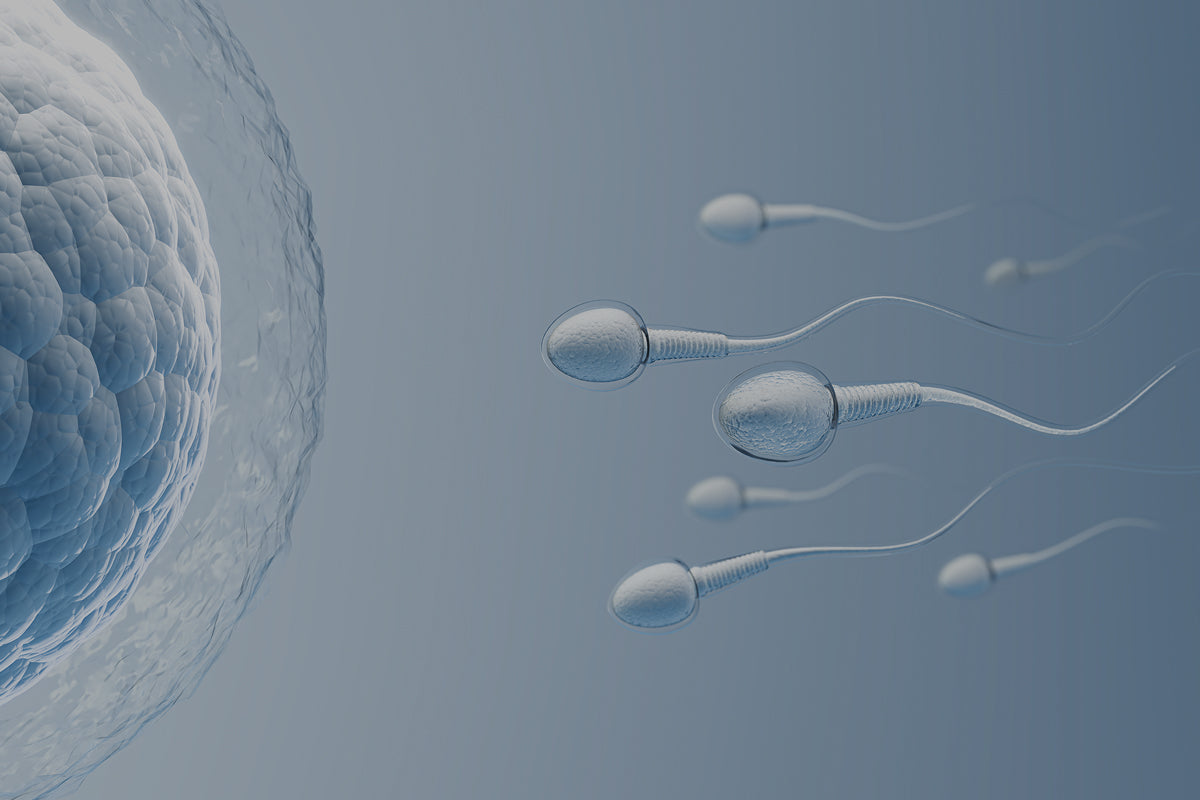 Cómo nació nuestro complemento para la fertilidad