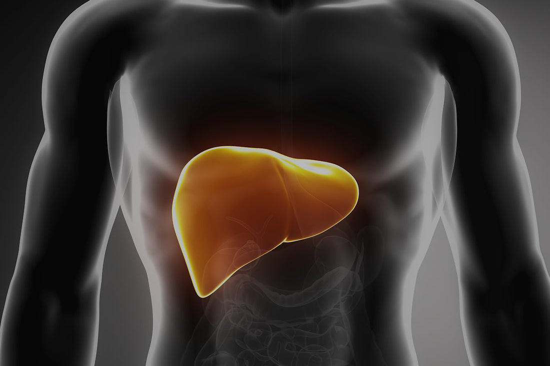 Cuida tu hígado y ponlo en modo "detox"