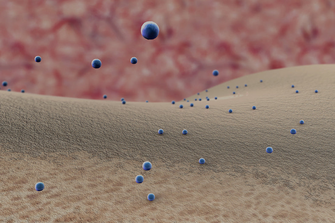 Herramientas naturales para fortalecer tu sistema inmune