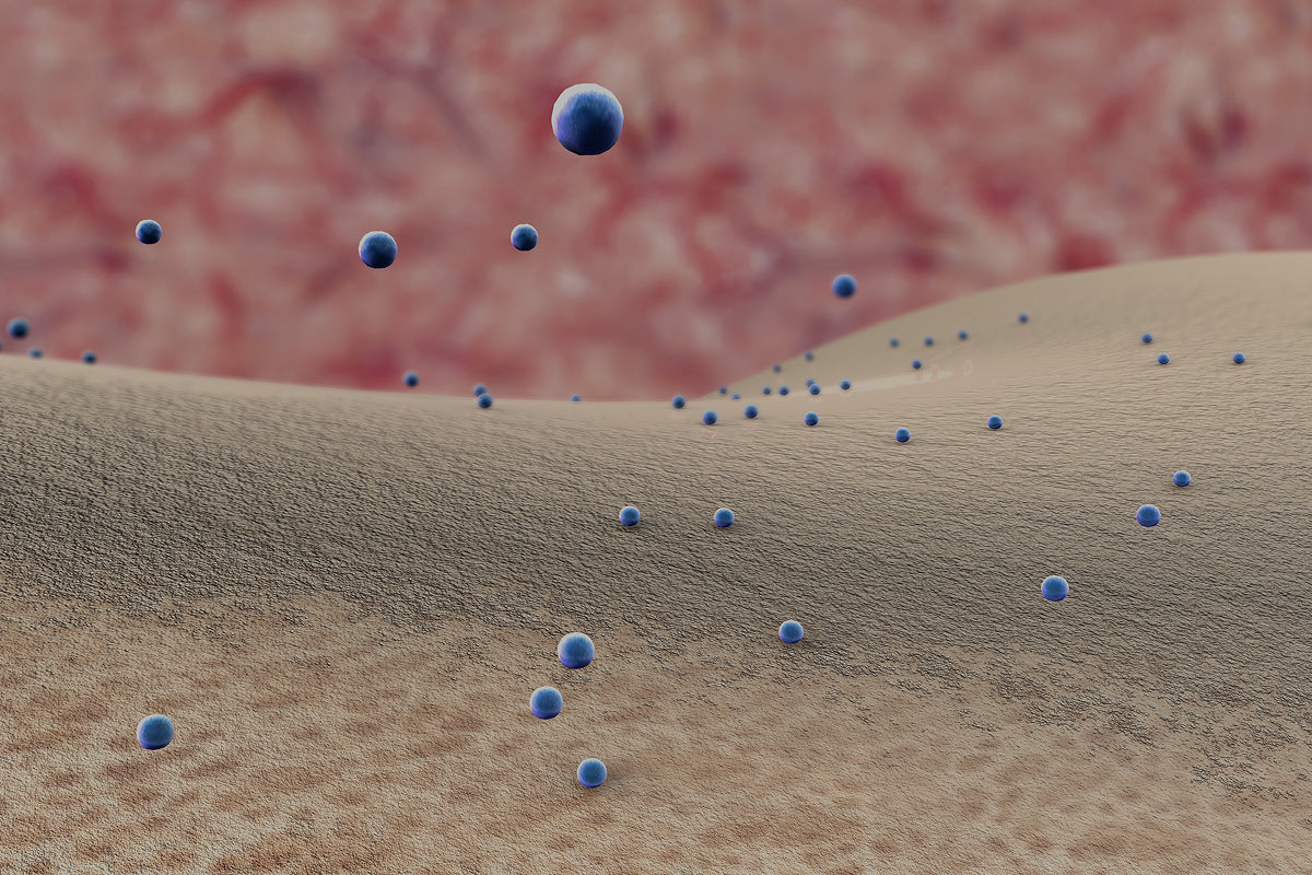 Herramientas naturales para fortalecer tu sistema inmune