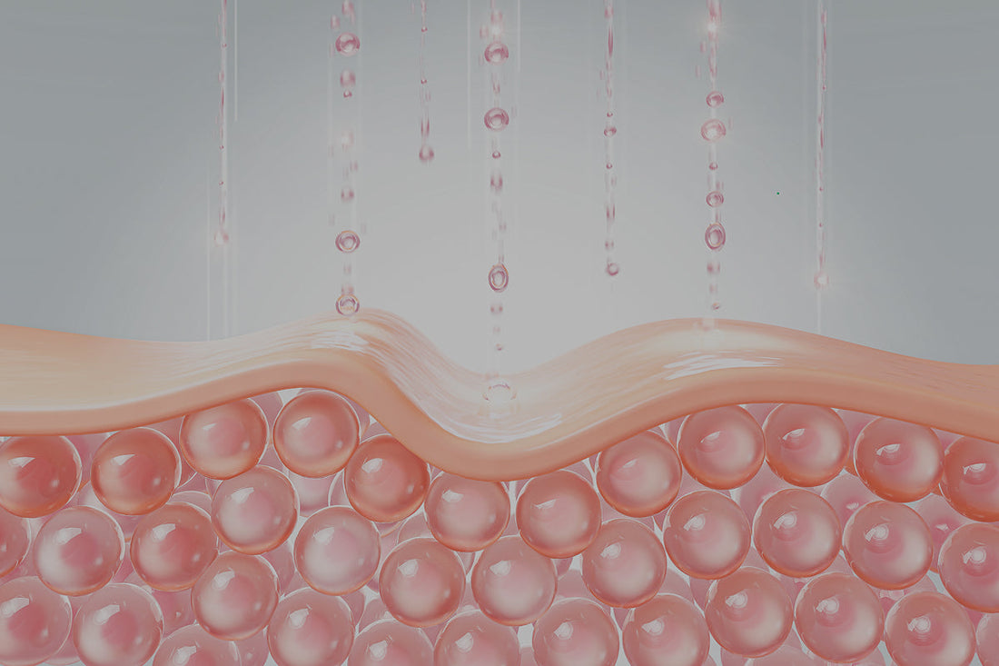 Cuál es el mejor colágeno del mercado