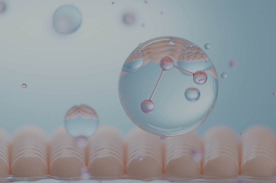 ¿Cuál es el mejor colágeno hidrolizado del mercado?