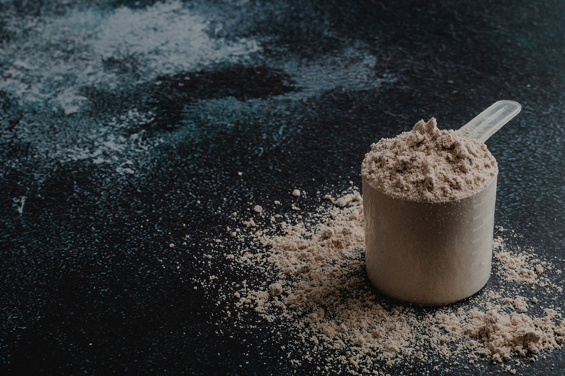 ¿Cuál es la mejor proteína isolada del mercado?