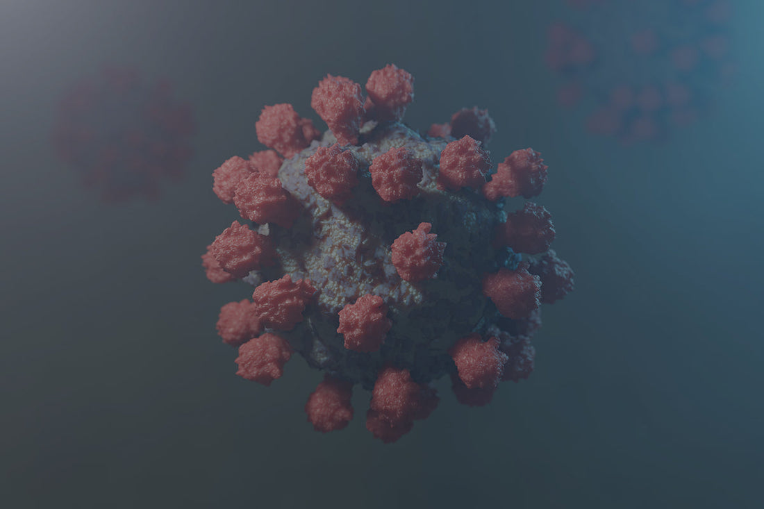 No me llega la regla: Abordaje integrativo de la amenorrea hipotalámica funcional