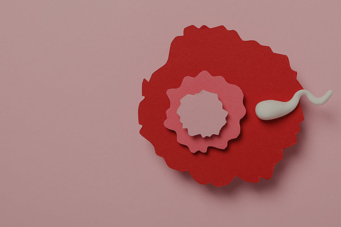 Por qué se acortan los ciclos menstruales