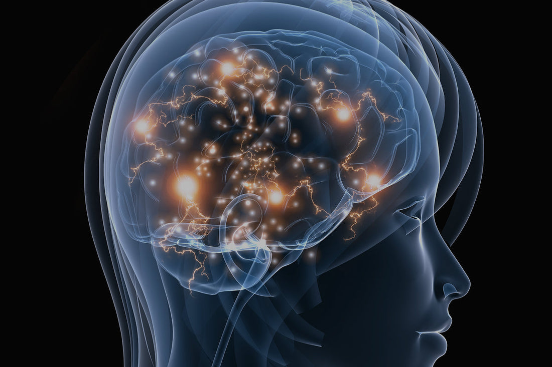 ¿Por qué nos sentimos atraídos por ciertas personas?