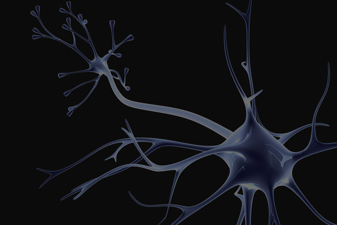 ¿Qué es bueno para la ansiedad y los nervios? Los productos más recomendables