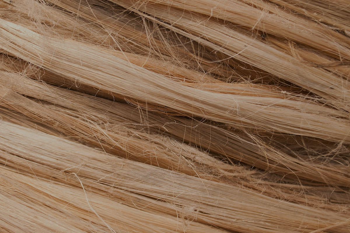 ¿Qué vitamina me falta si se me cae el pelo?