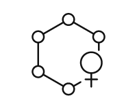 Equilibrio hormonal