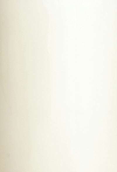 Ácido linoleico conjugado (CLA)