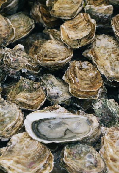 Bisglicinato de zinc