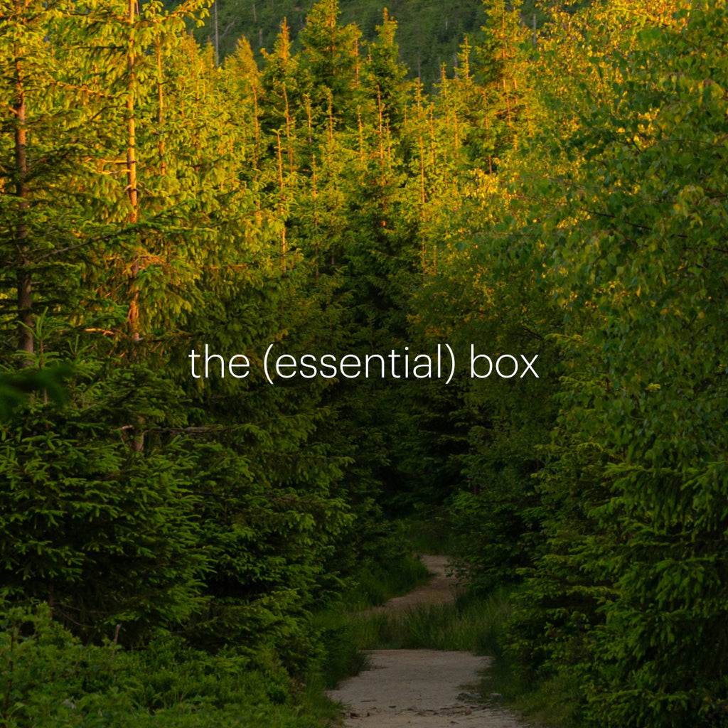 the (essential) box