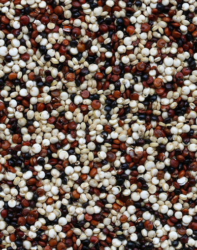 Essential Amino Acid Mix (EEAA)