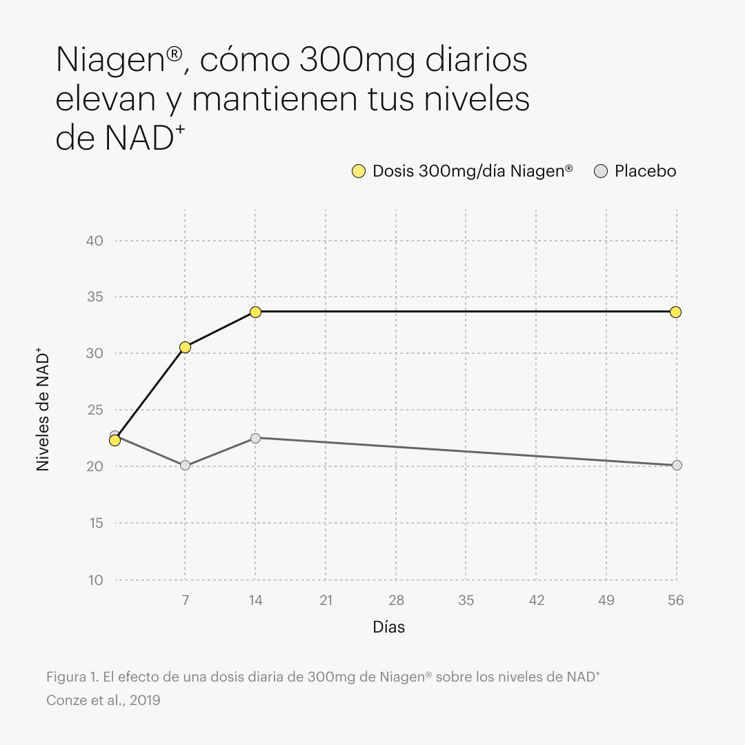 NAD⁺ pro