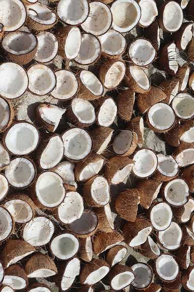 Triglicéridos de cadena media (MCT)